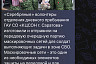 Саратовцы сплели и передали на фронт летние маскировочные сети