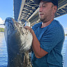 Саратовский рыбак под мостом поймал сома на 34 с лишним килограмма